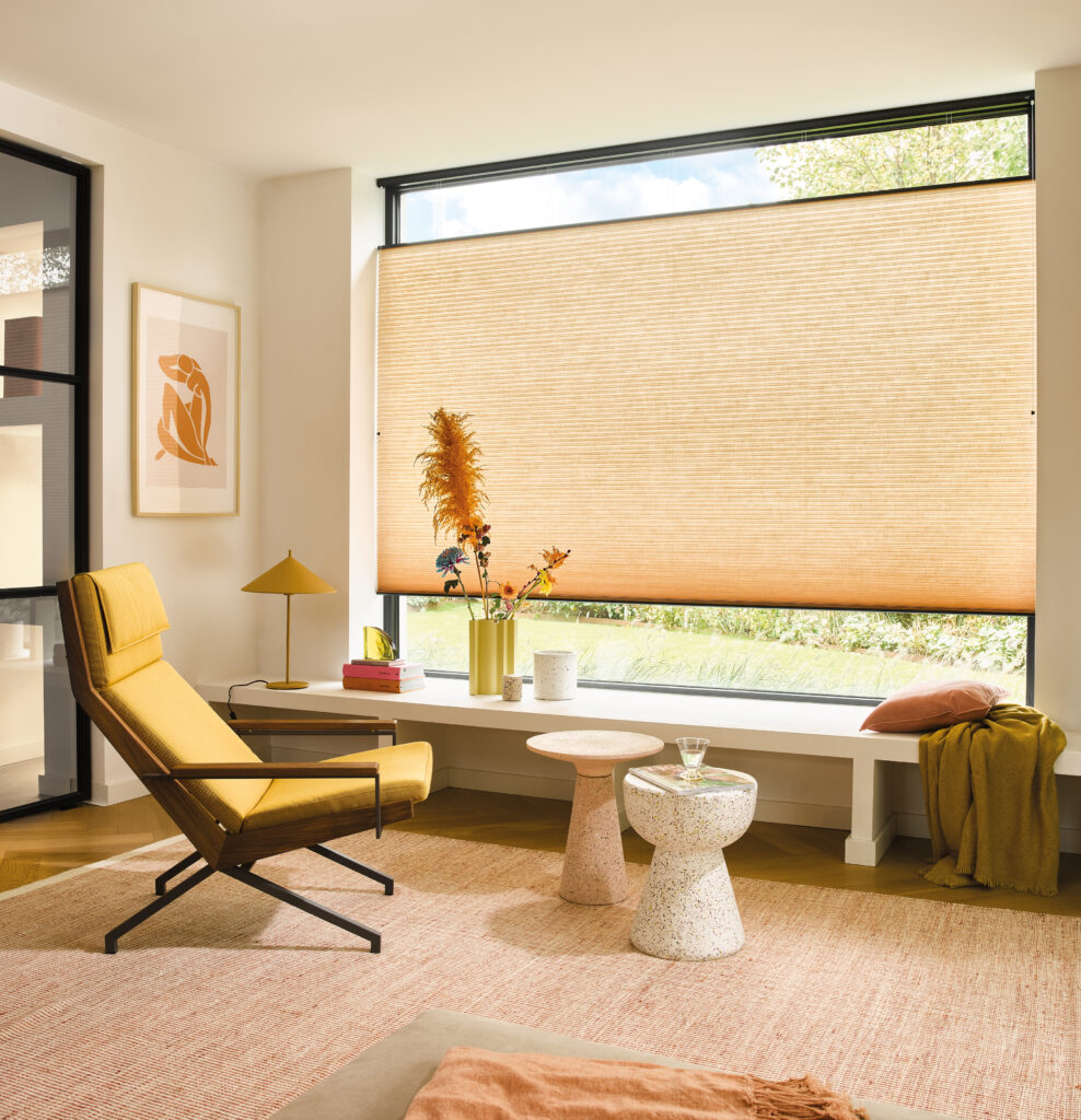 Luxaflex Duette Insulating Blind - Top-Down-Bottom-Up with SmartCord