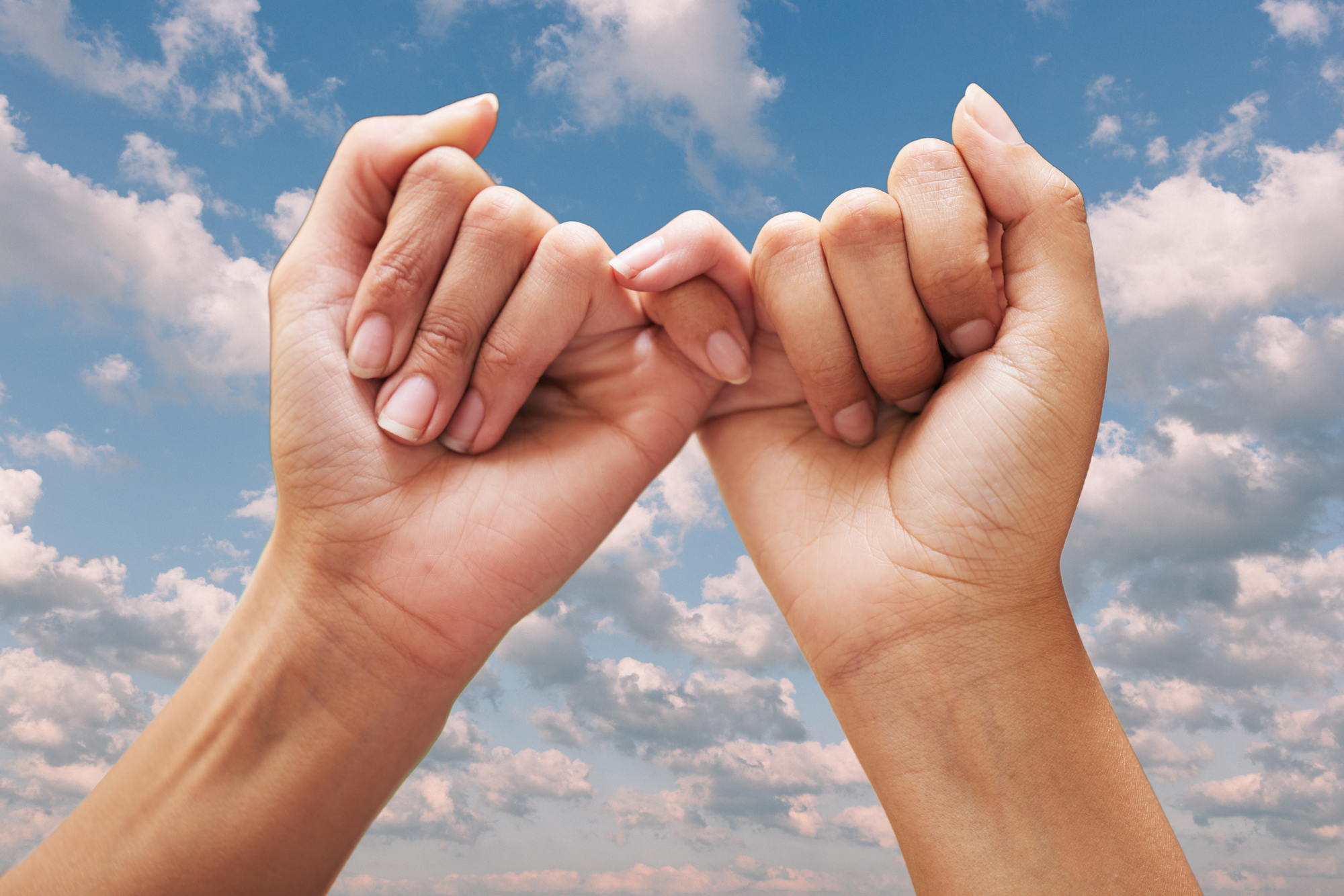 Our Terms of Business