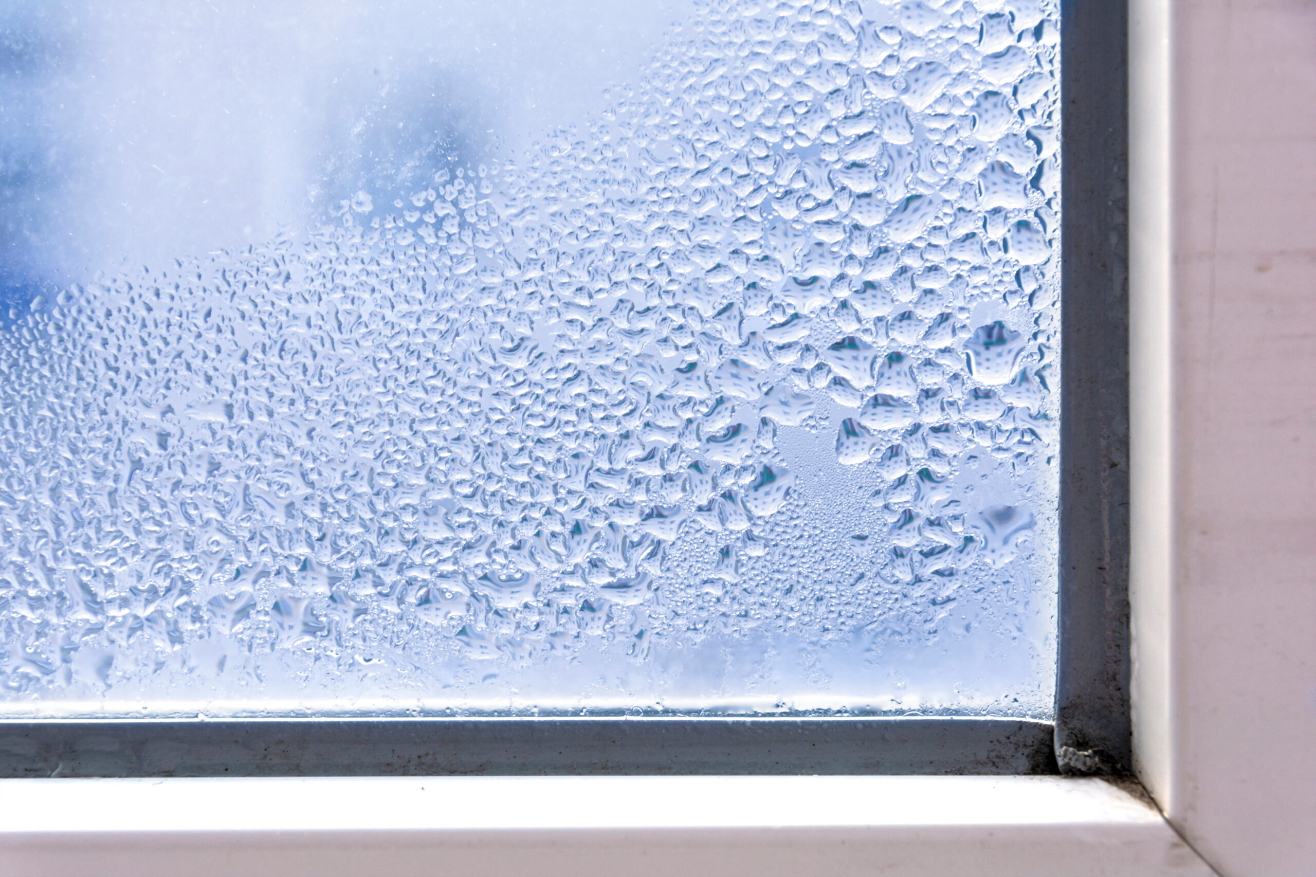 Condensation in Winter: Causes & Fixes for Scottish Homes